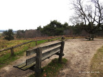 Friezenberg Borkeld